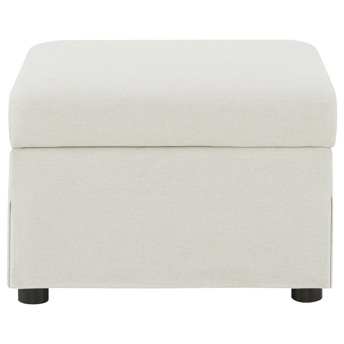 Winter Storage Ottoman